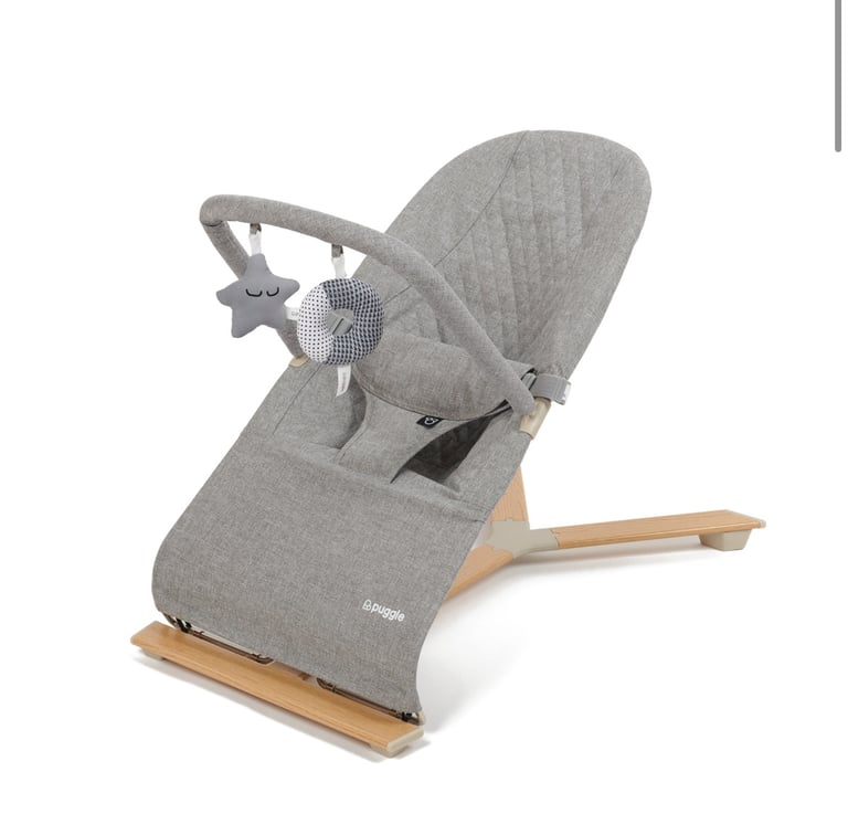 Puggl Brand new still boxed baby bouncer 
