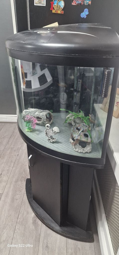 Aqua one corner fishtank