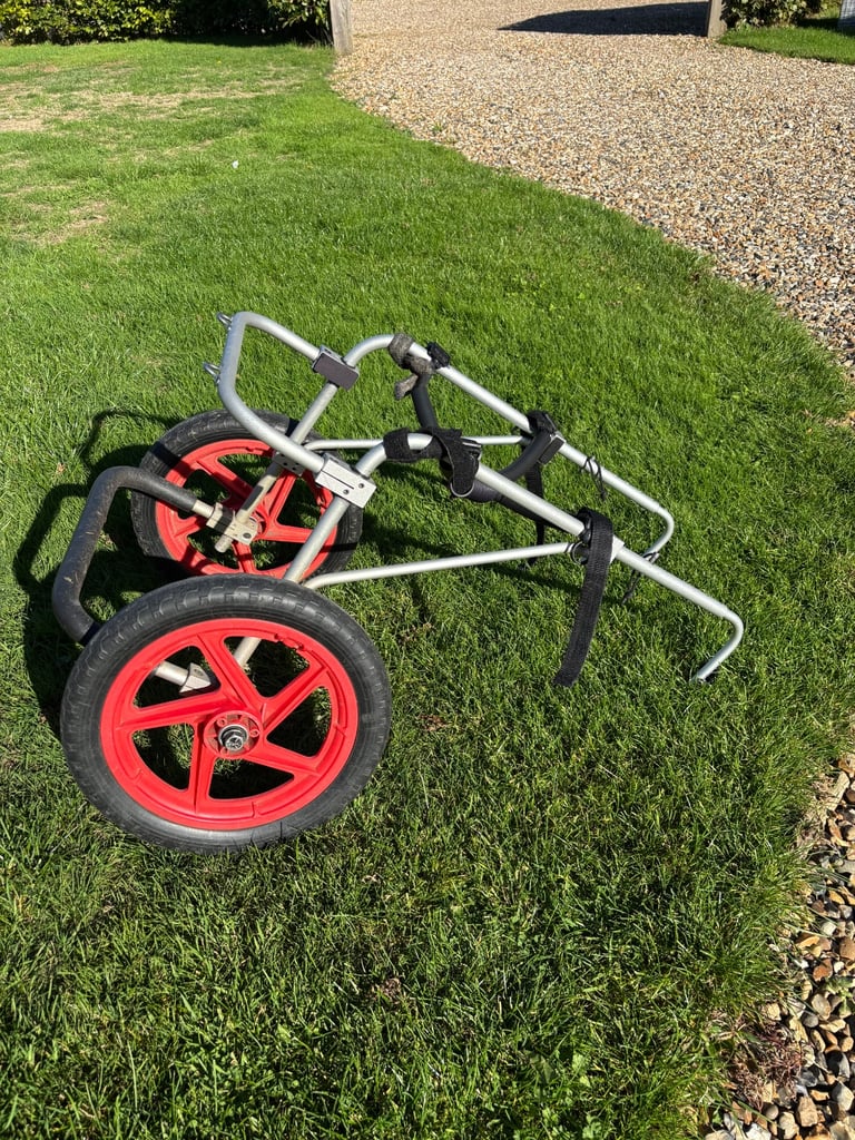 Dog  Wheelchair for large/XL dog