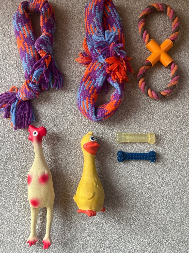 Puppy dog toys 