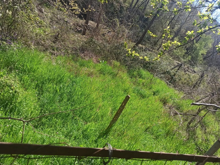 Greece - land with storage/house for sale in Central Greece close to Lake Plastira