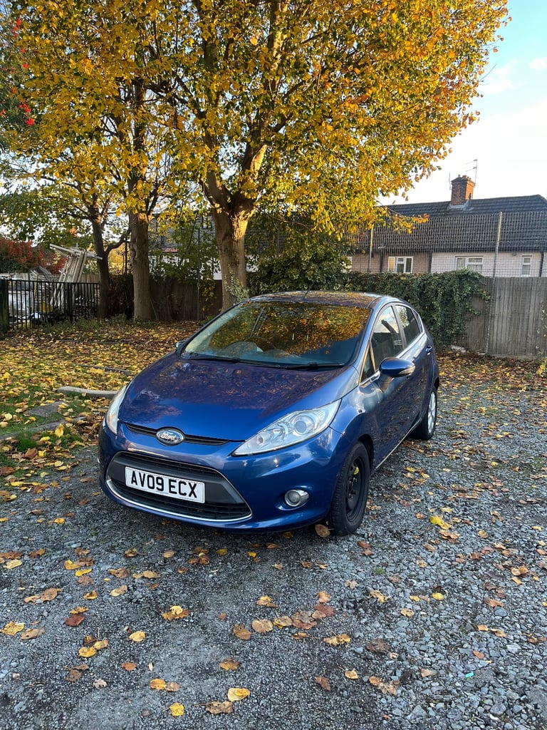Ford, FIESTA, Hatchback, 2009, Manual, 1242 (cc), 5 doors