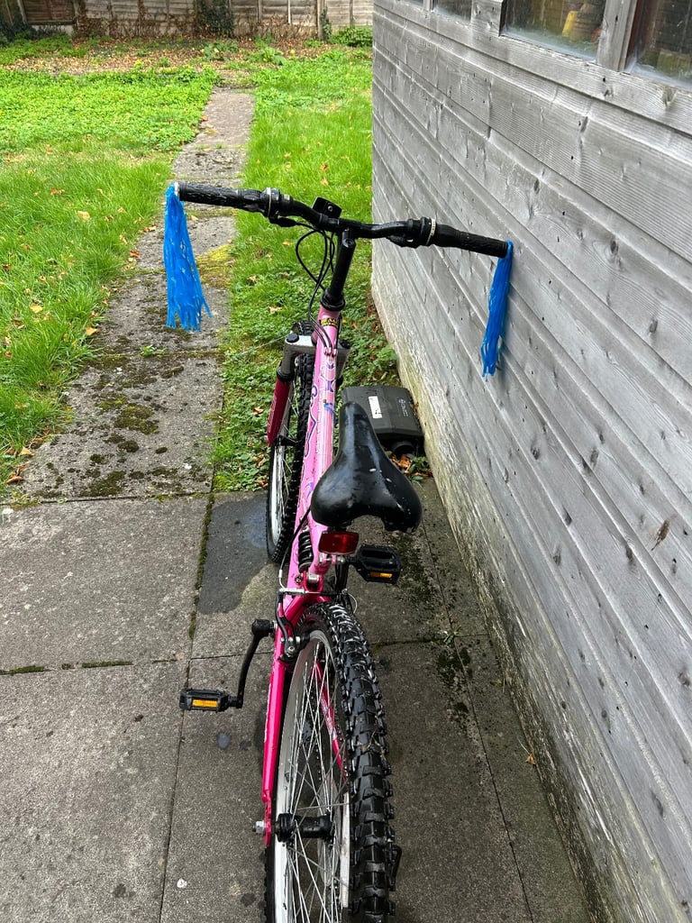 Girls mountain bike ( APOLLO FS24 )