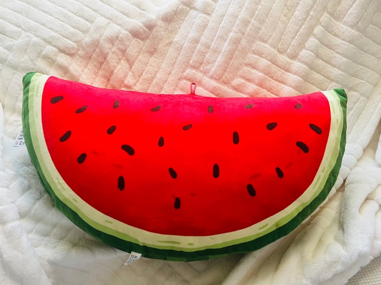 image for Large water melon cushion