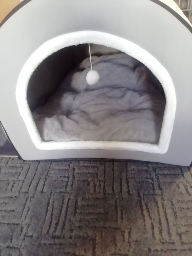 Large dog tunnel bed