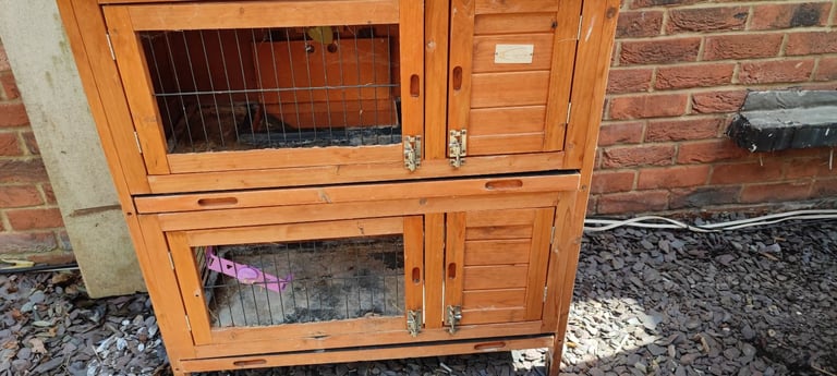 Guinea pigs or rubbit cage