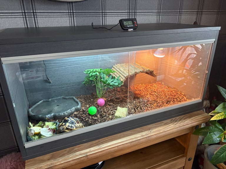 Vivarium 
