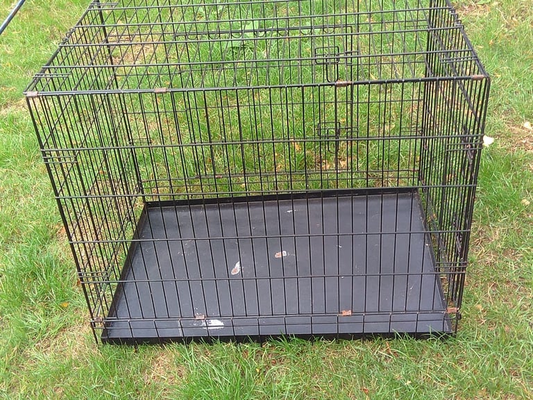 image for Dog prison