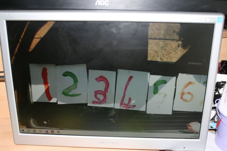 17" LCD Computer Monitor