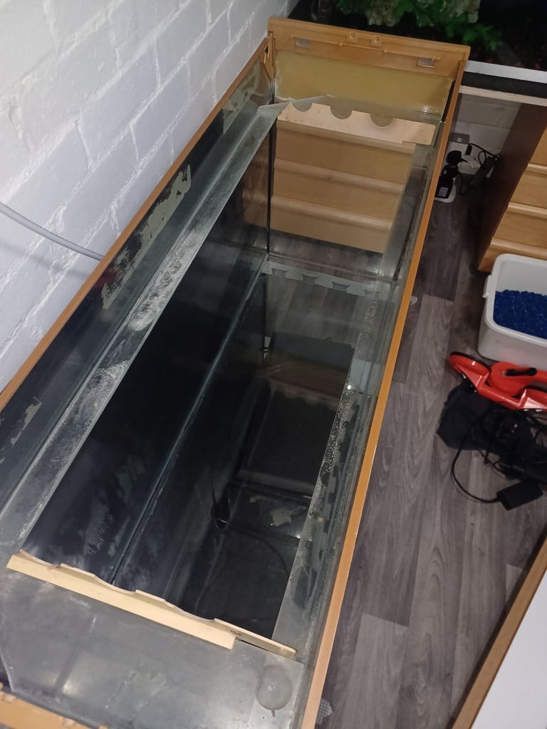 100 litre fish tank/ aquarium 