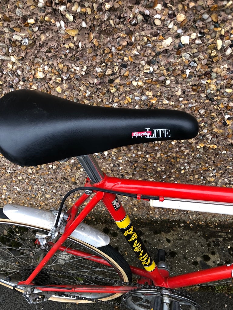 Raleigh racing in Scotland Bikes, Bicycles Cycles for Sale