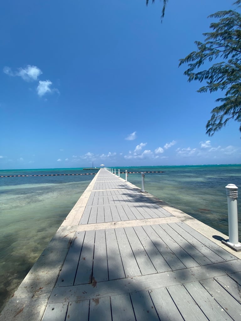 Olympus Stylus Tough TG-830 16 Megapixels Shockproof Waterproof Camera Black