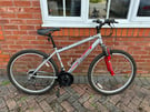 Mountain bike Apollo XC.26