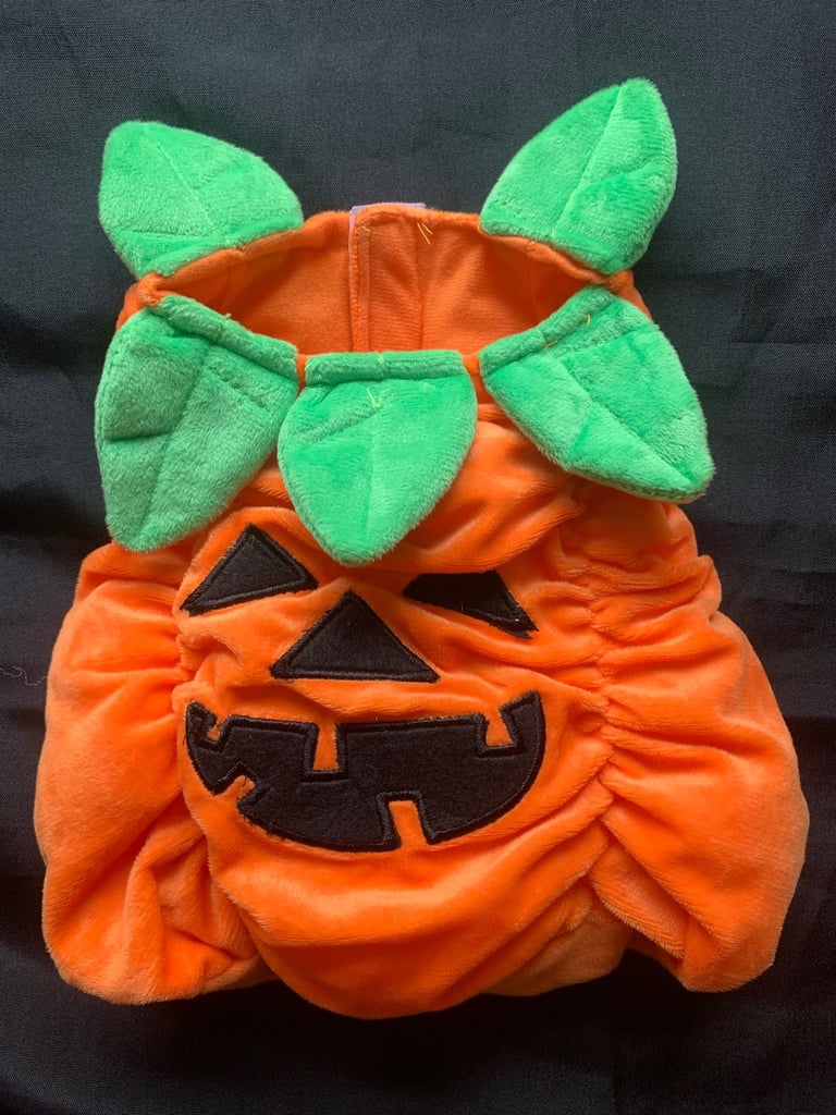 Halloween Baby & Small Dog Pumpkin Costumes 