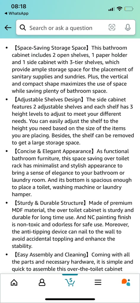 Bathroom toilet storage 
