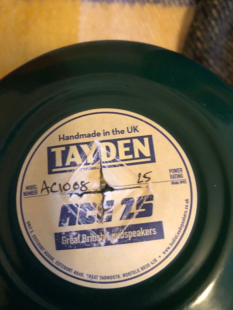 Tayden Ace 10 inch 8ohms alnico guitar speaker.