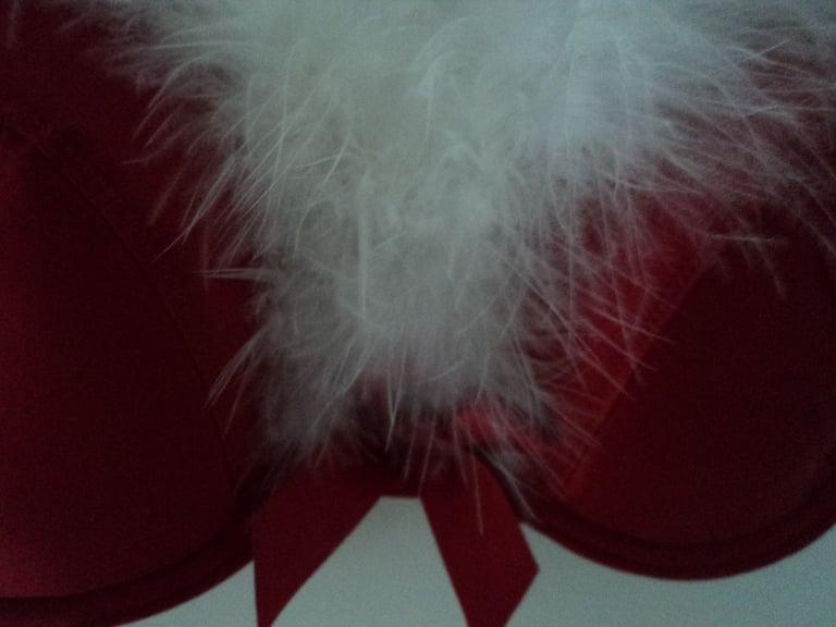 Brand new red 'Christmas' style bra.