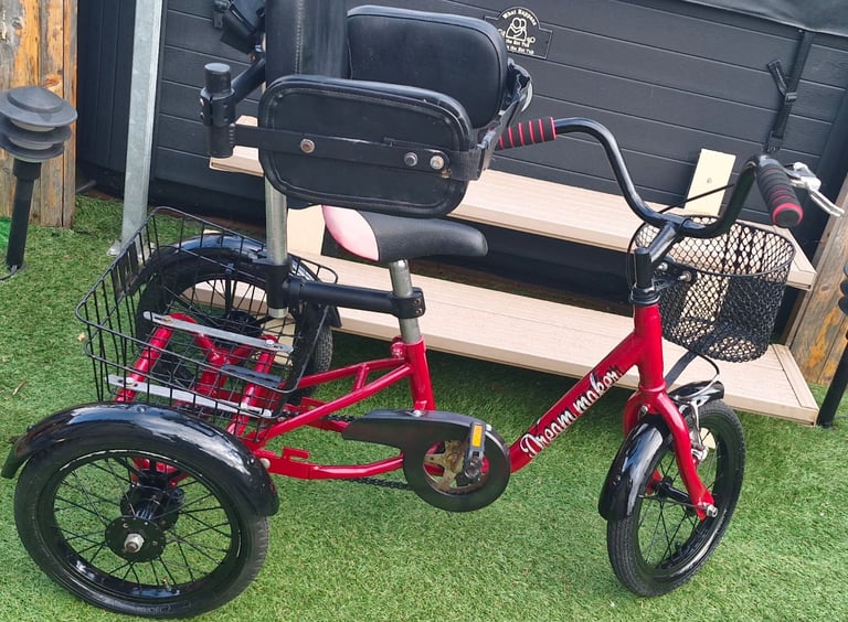 Special needs tricycle 