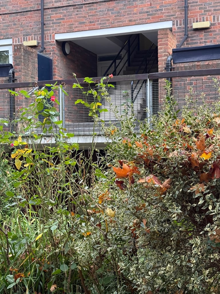 My one bedroom flat in London swap  only