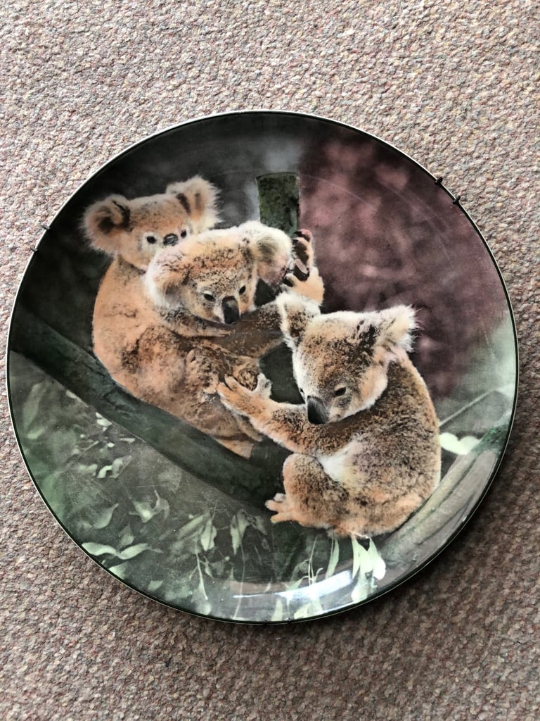 image for Koala Bears Royal Doulton wall plate