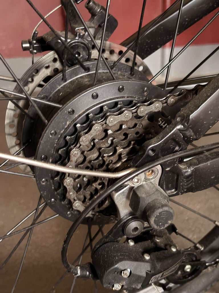 Fiido D4S Folding Electric Bike