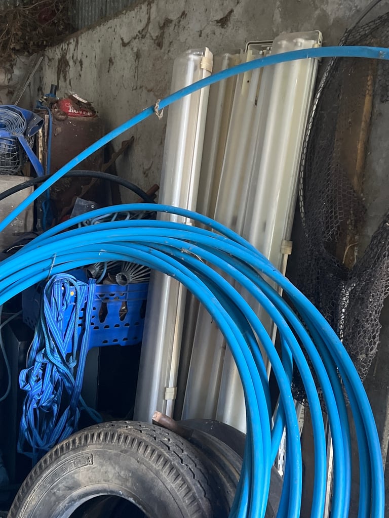 image for Four fluorescent lights