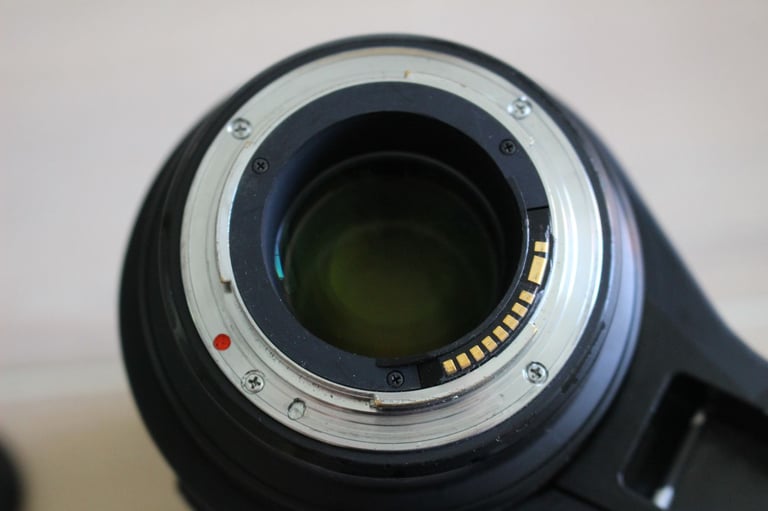 Sigma 120-300mm 2.8 EX DG OS APO HSM - Canon EF-Mount