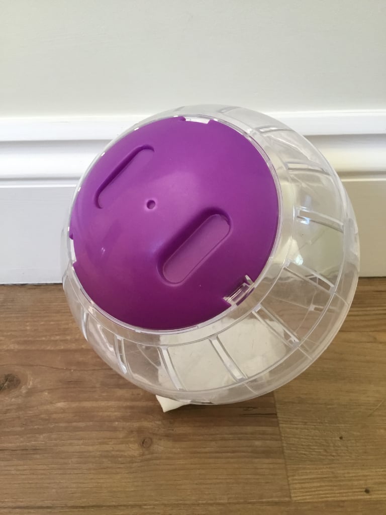 Hamster exercise ball