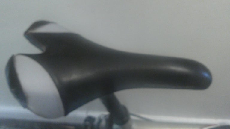 typhoon challenge raleigh bike for sale 