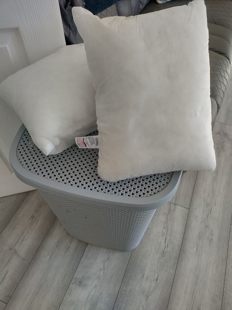 image for 2 cushion inners 