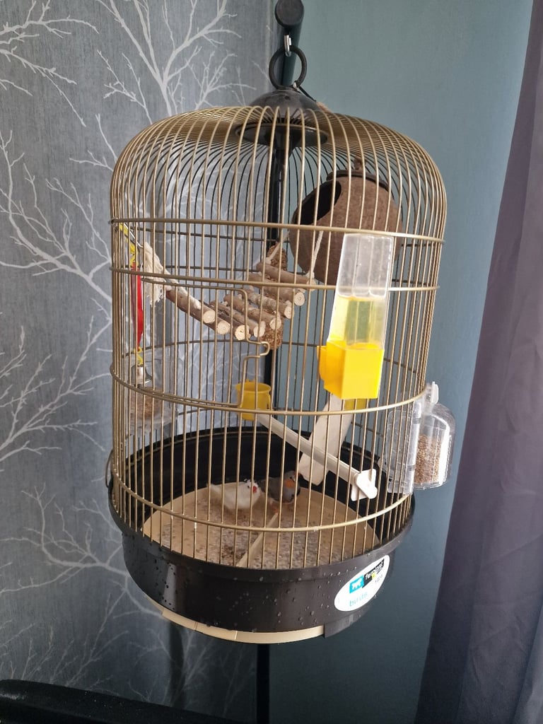 Bird cage and stand £60