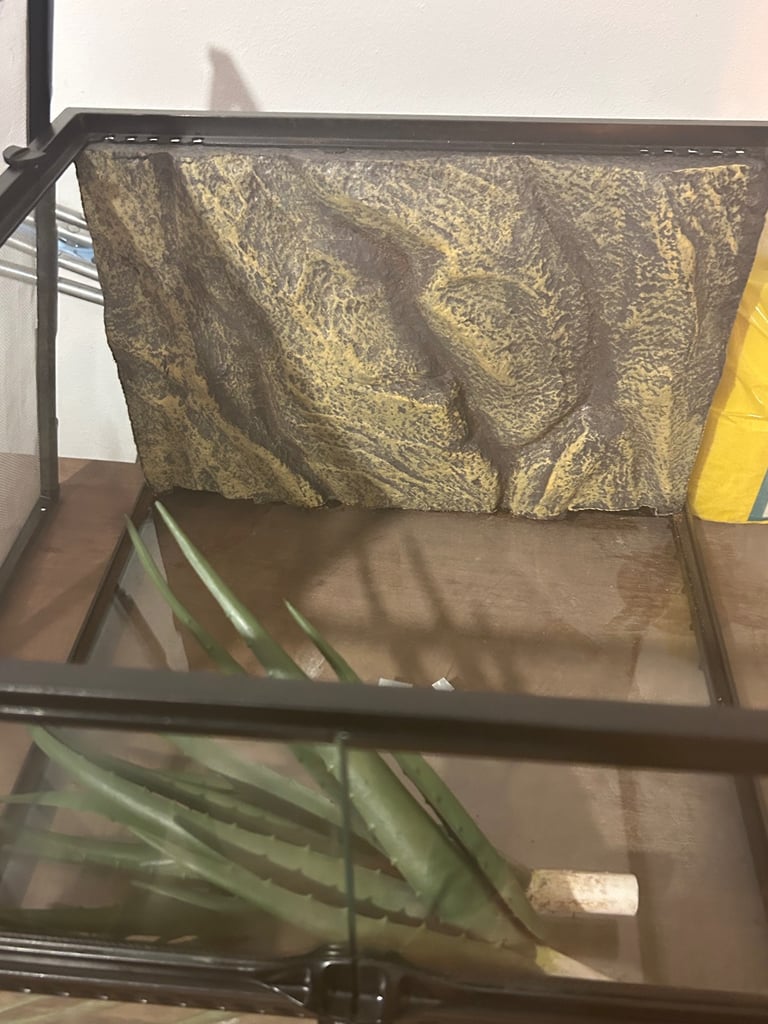 Vivarium with full accessories 