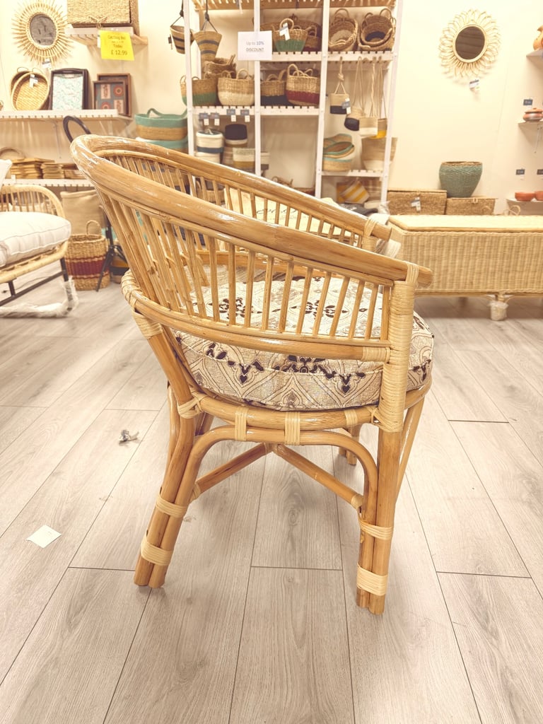 cozy Cane Arm Chair with cushion 