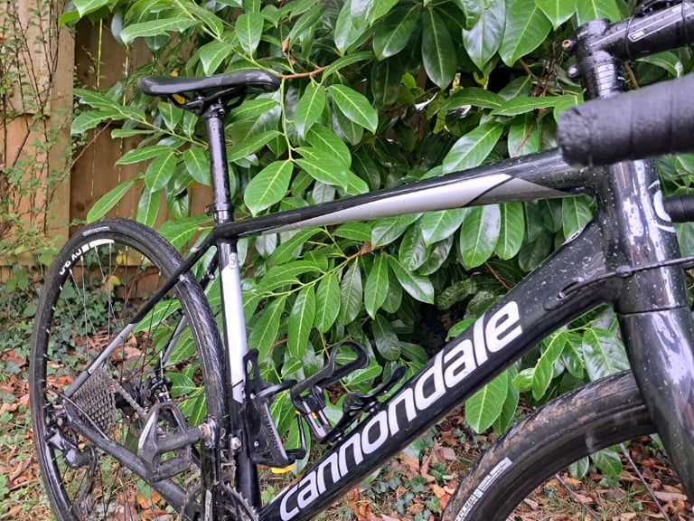 Cannondale synapse Gumtree