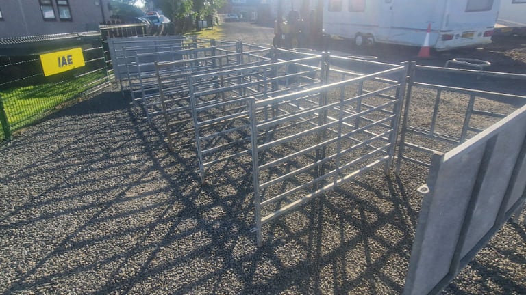 8 x calf rehearing pens with bucket holders farm livestock tractor 