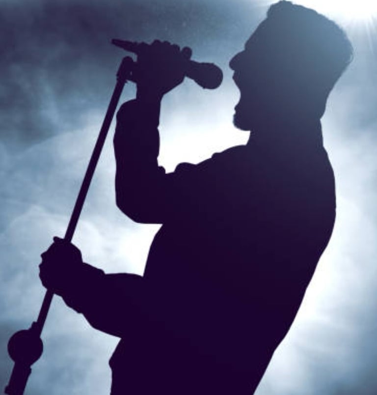 Rock vocalist for Modern Alternative Rock band needed