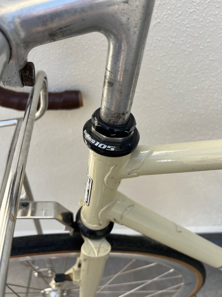 Carlton Bicycle 2-Speed not Fixed Gear