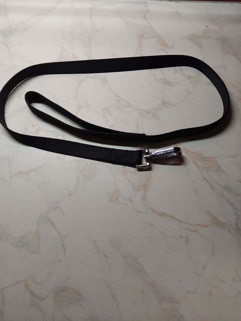 Dog lead 