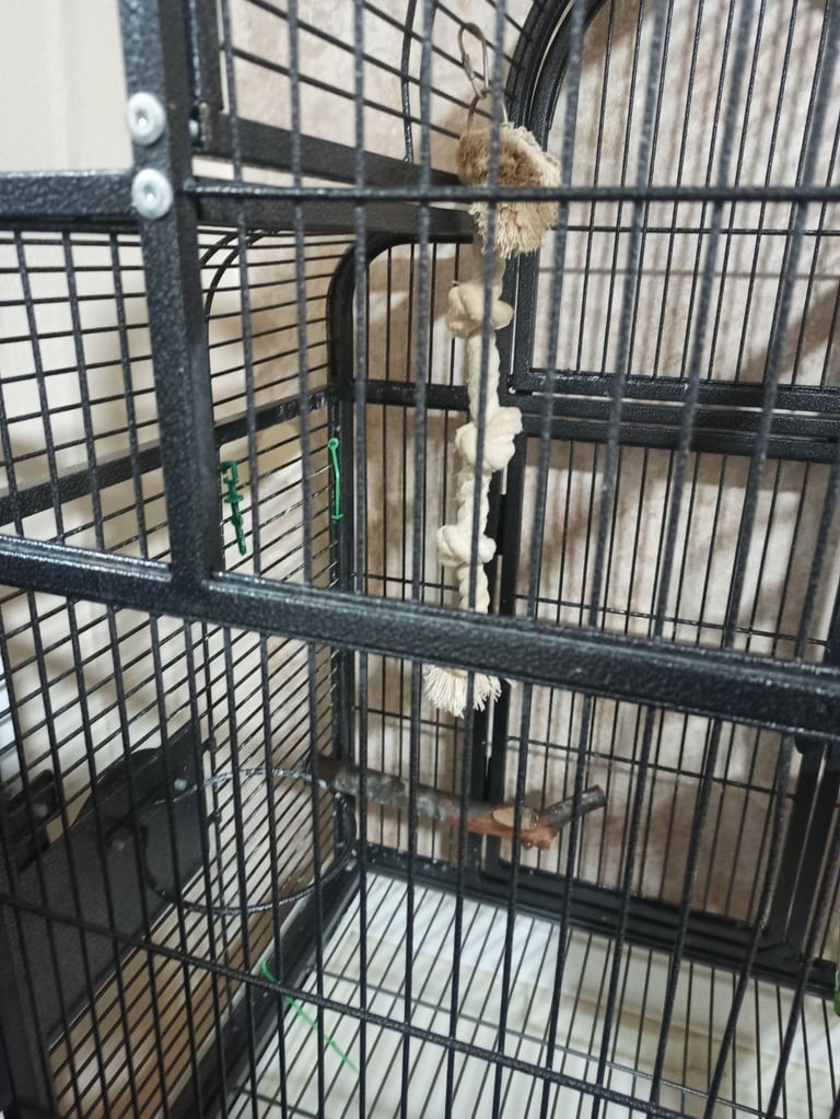 Rainforest Santa Fe Top Opening Parrot Cage with stand