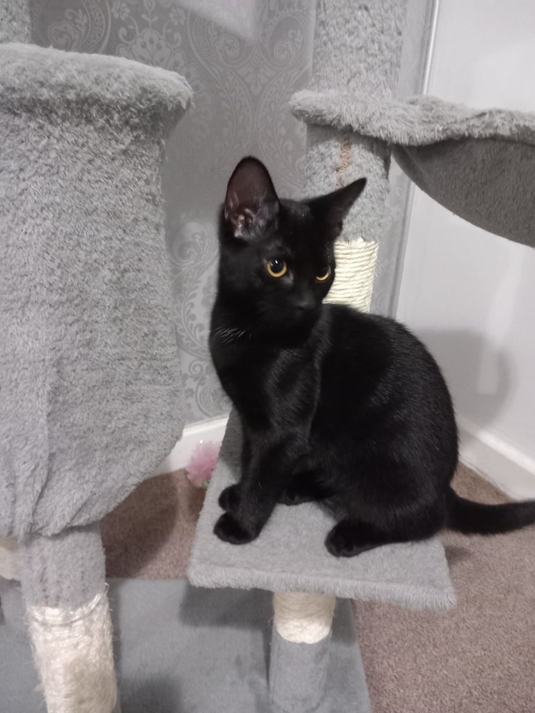 A Sweet adorable girl 😻