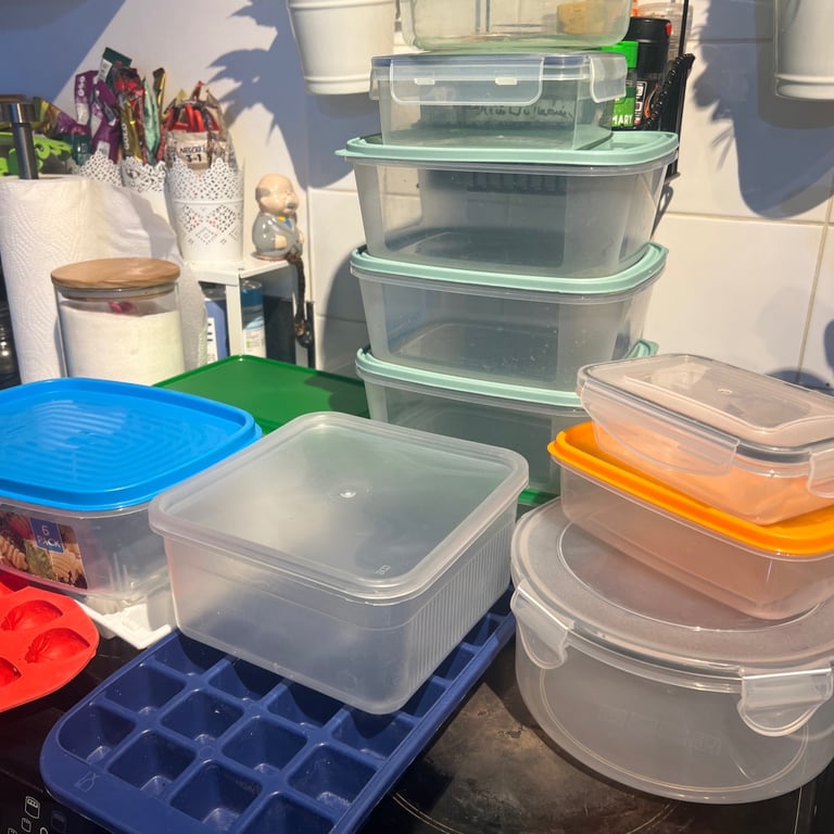 X19 item 15 Plastic Food Storage Containers - Family Sized and 4 ice cubes 