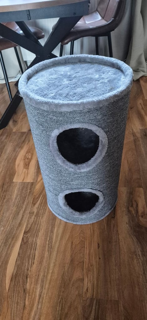 Cat hiding thing