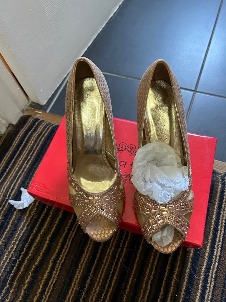 image for Ladies bronze fashion shoes