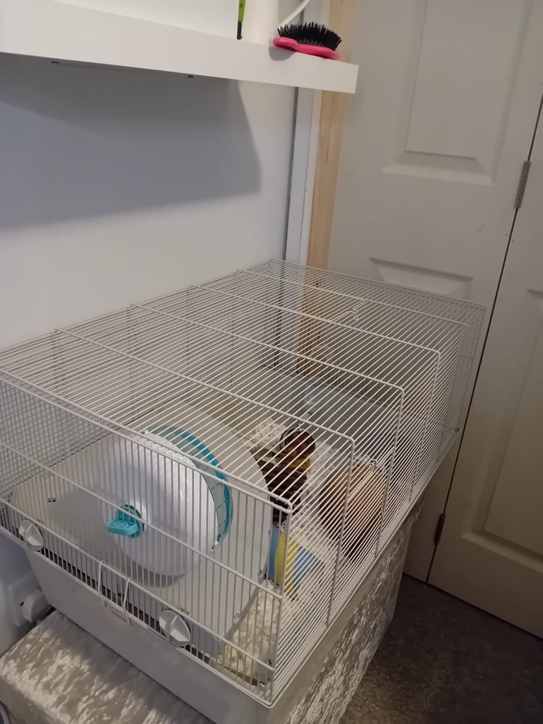 image for Hamster with cage