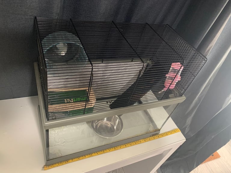 Glass Cage For Rodents 