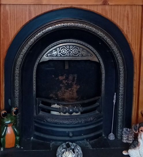 image for Cast Iron Fire Insert 