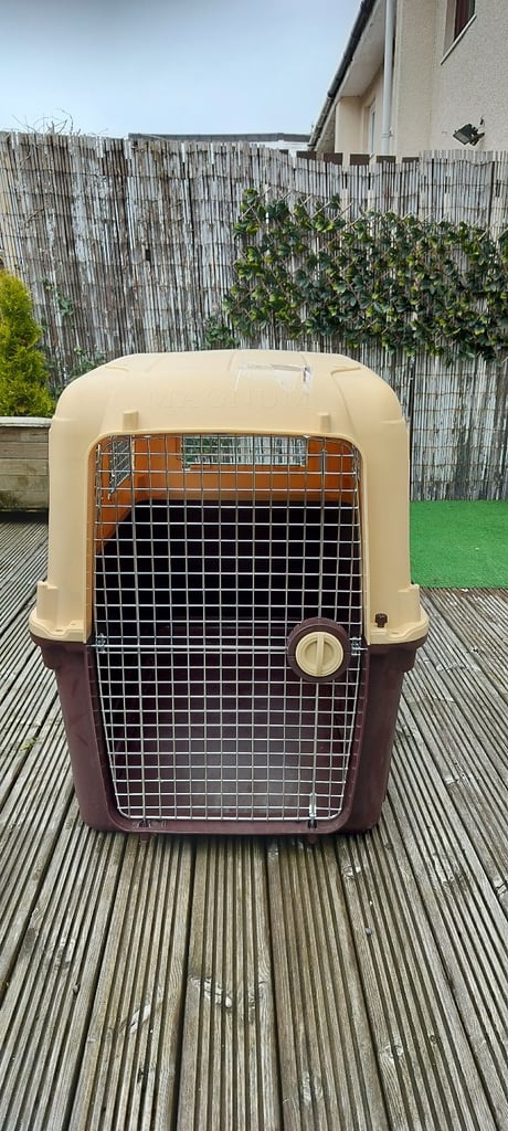 Airline approved dog  crate 