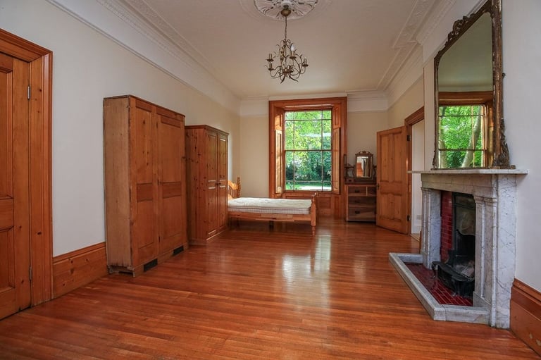 Large Beautiful studio with high ceilings, proper separate kitchen and access to garden