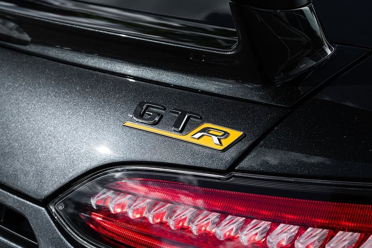 2018 Mercedes-Benz AMG GT GT R Premium 2dr Auto COUPE PETROL Automatic
