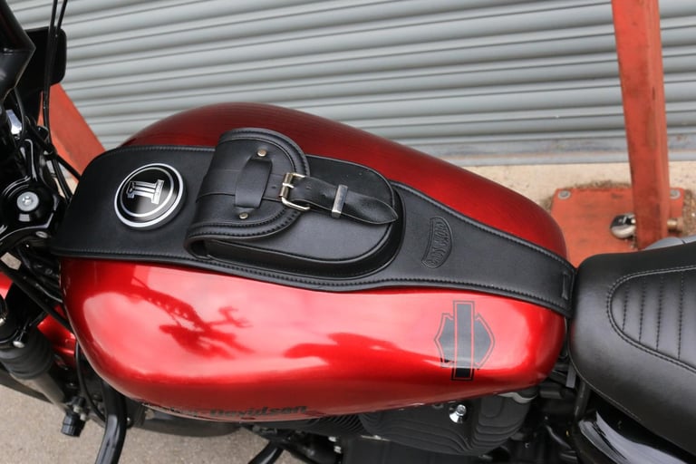 Harley-Davidson XL883N SPORTSTER IRON 2013